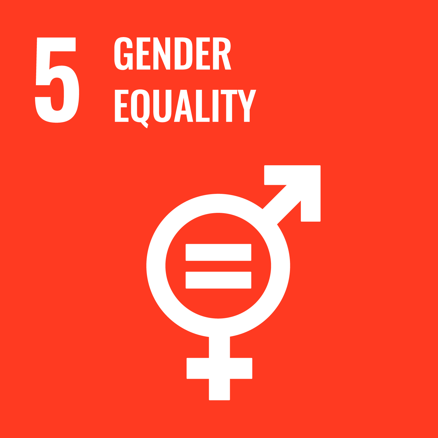 SDG Icon 5