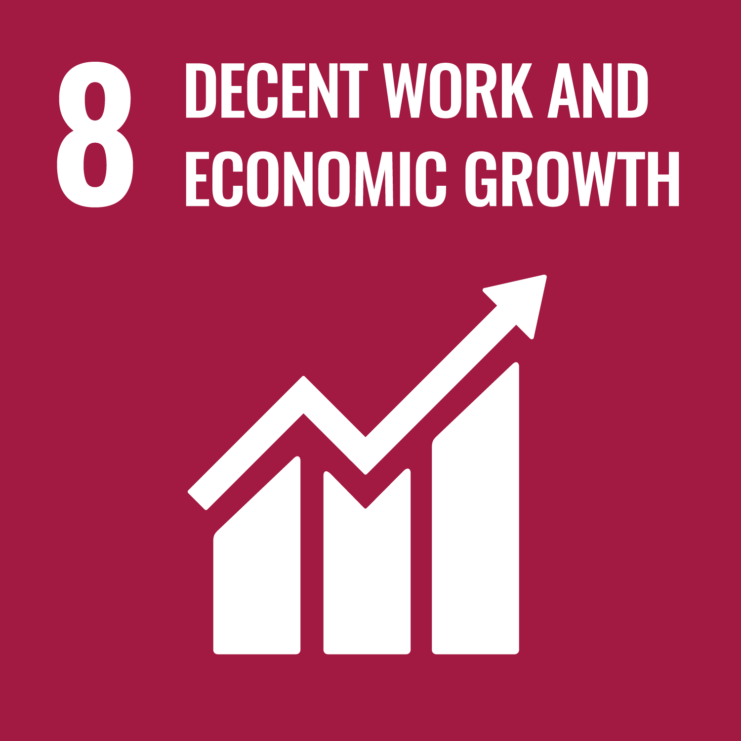 SDG Icon 8